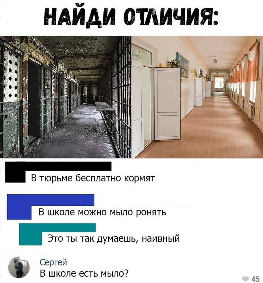 Чем отличается тюрьма от колонии