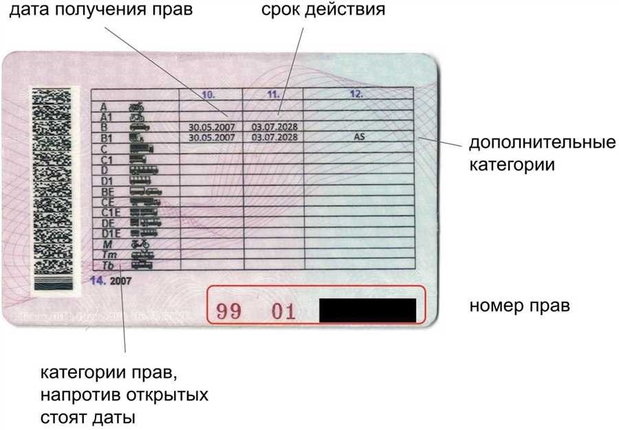 Категория в1 as что это